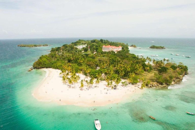 Samaná Whale Wonders: A Majestic Marine Adventure