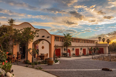 From La Playa: Vineyard Tour w/ Tasting & Todos Santos Stop