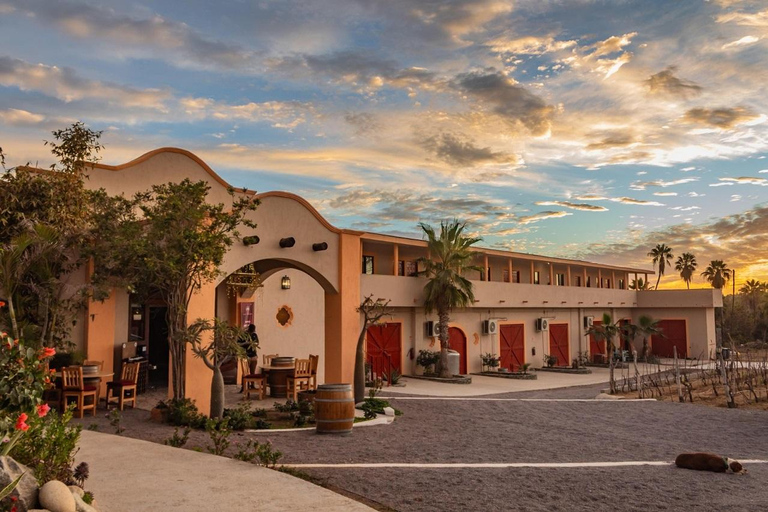 From La Playa: Vineyard Tour w/ Tasting & Todos Santos Stop