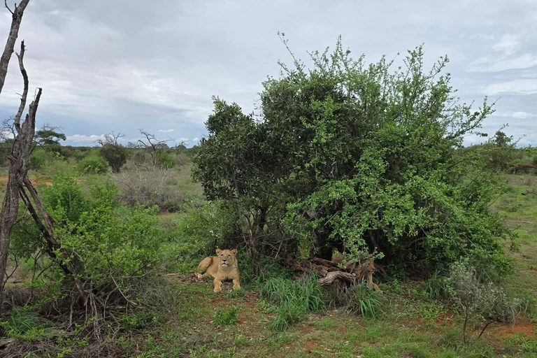 Mombasa: 3-Day Tsavo East/West & Kilimanjaro Views Safari