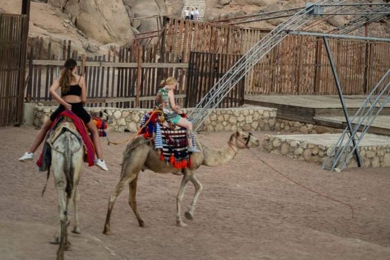 Scharm El-Scheich: Premium-Arabische Nacht mit AbendessenScharm El-Scheich: Premium-Arabische-Nacht-Entdeckung mit Abendessen