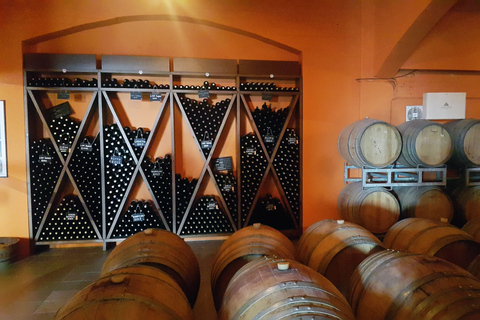 Odkryj smak Krety: wycieczka z przewodnikiem po winnicy i degustacjaOdkryj Smak Krety: Wycieczka z przewodnikiem po winiarni i degustacje