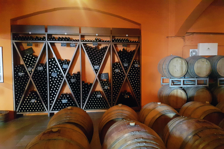 Odkryj smak Krety: wycieczka z przewodnikiem po winnicy i degustacjaOdkryj Smak Krety: Wycieczka z przewodnikiem po winiarni i degustacje