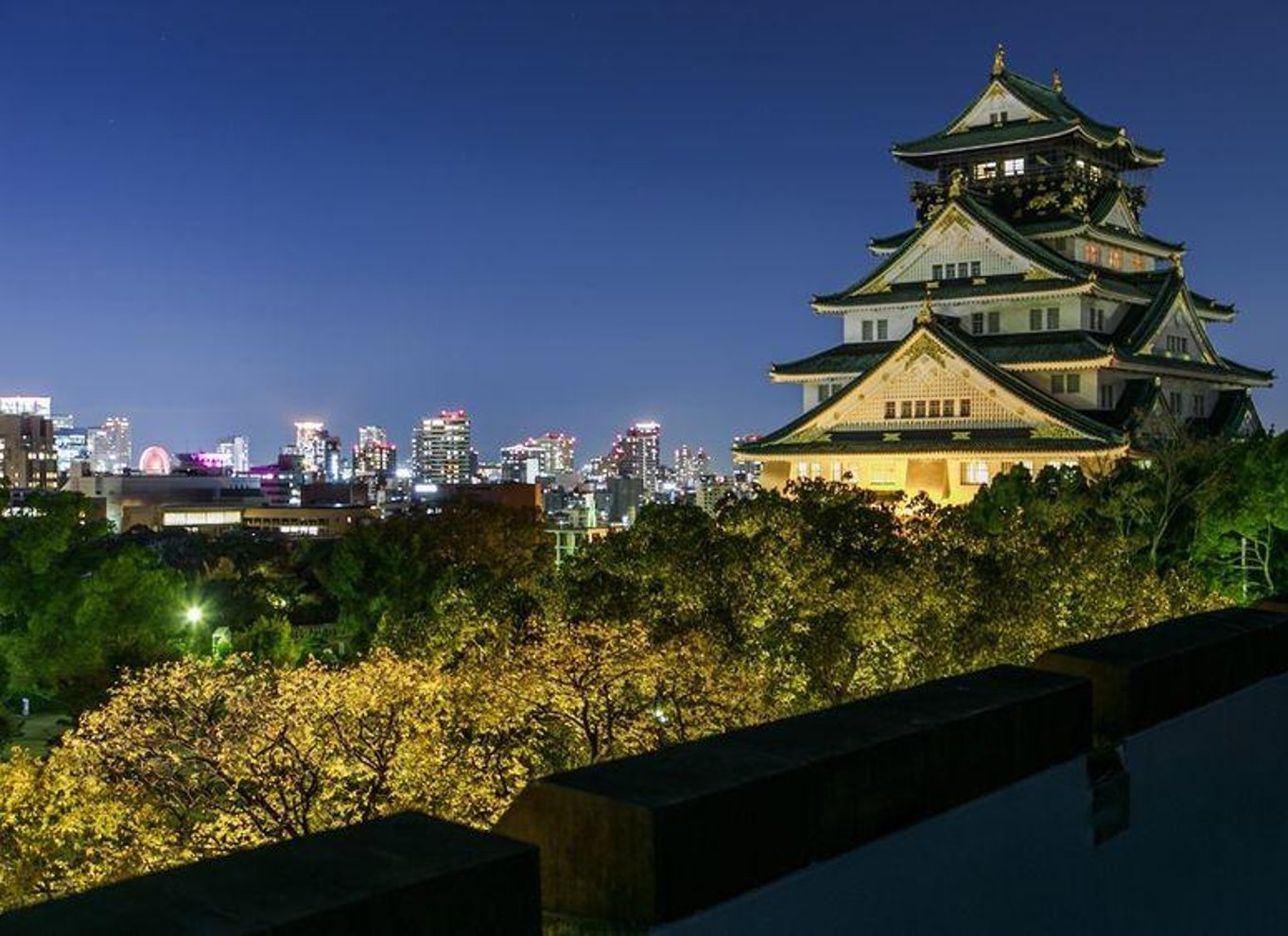 Osaka: Entré til slotstårnet / guidet byvandring