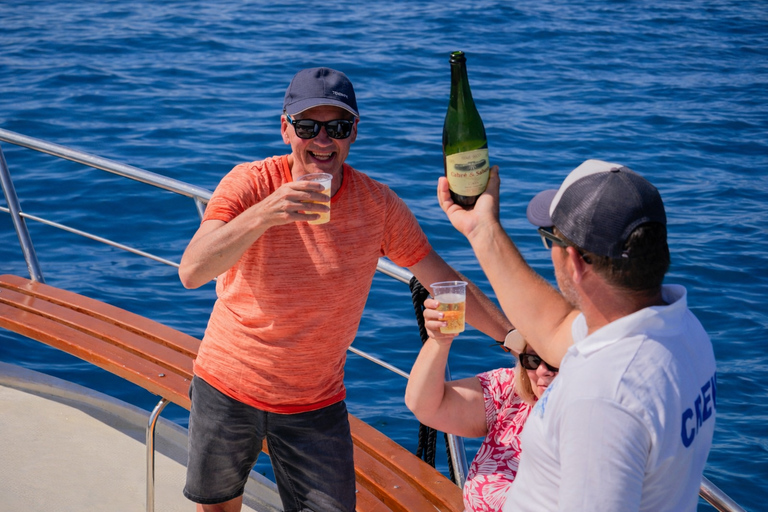 Tenerife: Private Yacht Charter for Whale and Dolphin Watching, with Lunch and Swim Tenerife: Private yacht rental for whale watching with food and a swim