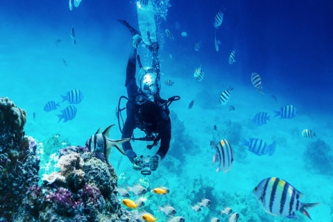 El Gouna : Excursion en bateau pour la plongée ou le snorkeling sur 2 sites avec déjeunerHurghada : Excursion en bateau pour la plongée ou le snorkeling sur 2 sites avec déjeun