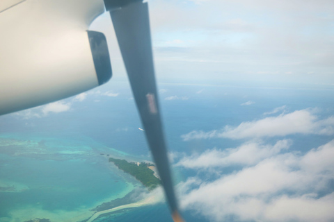 Från Zanzibar: Mikumi Safari med tvåmotorigt flygplan + lunchMikumi Safari – utan transfer