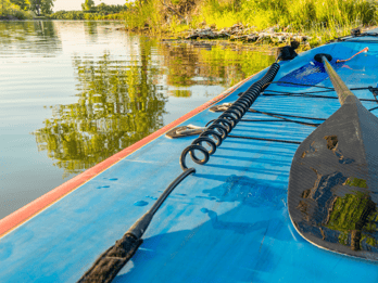 Stand-Up Paddle Tour on the River Vez with guide