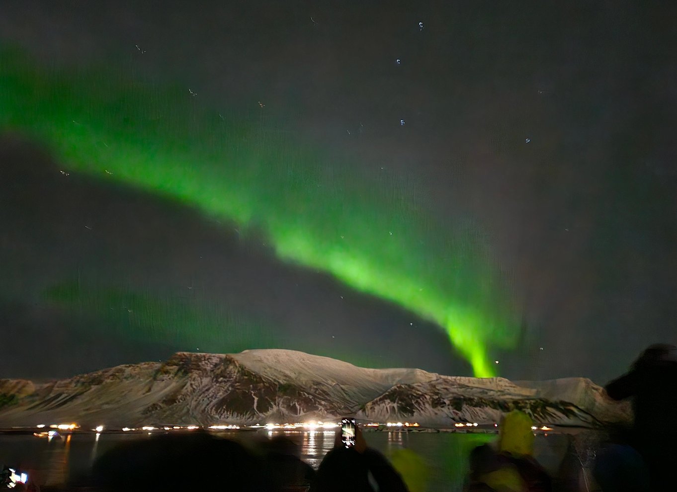 Reykjavík: Krydstogt med nordlys