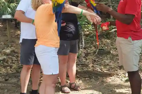 Roatan Kid friendly:Sloth Butterfly Garden Iguana farm