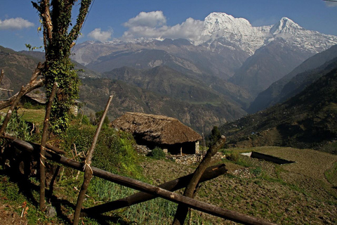 Dhampus Village Tour from Pokhara with Jeep