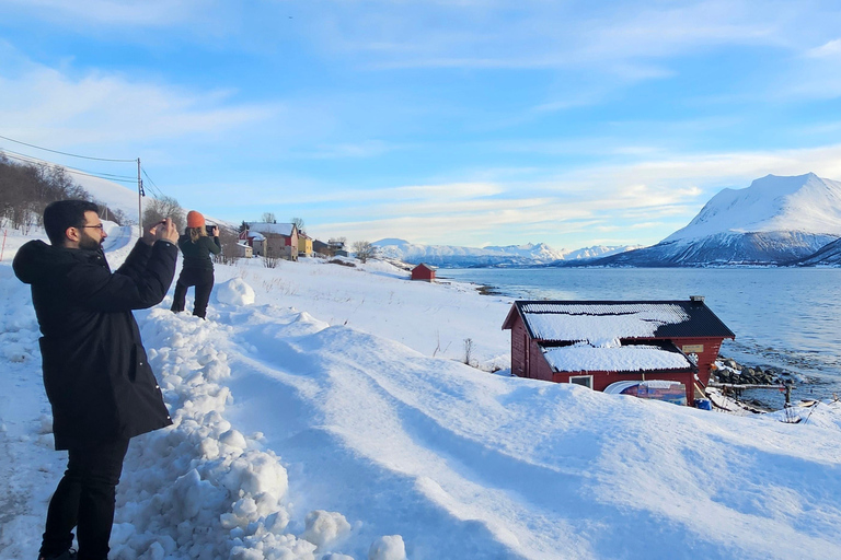 Tromsø: Artic Fjord-tourTromsø: Artic Fjord tour