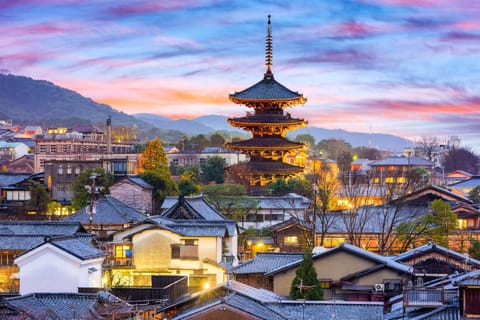 From Osaka/Kyoto: Nara & Kyoto Family Adventure with Guide - Image 2