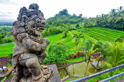 بالي: من القمم المقدسة إلى وادي الأزهار الأبديةبالي: من القمم المقدسة إلى وادي الأزهار الخالدة