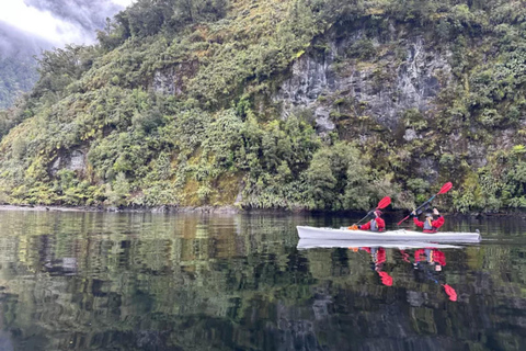 Te Anau: Lake Manapouri Kayak Tour with Water Taxi