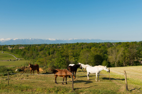 Sedona: Alcantara Vineyard Horseback Riding Tour