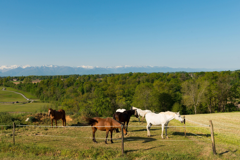 Sedona: Alcantara Vineyard Horseback Riding Tour