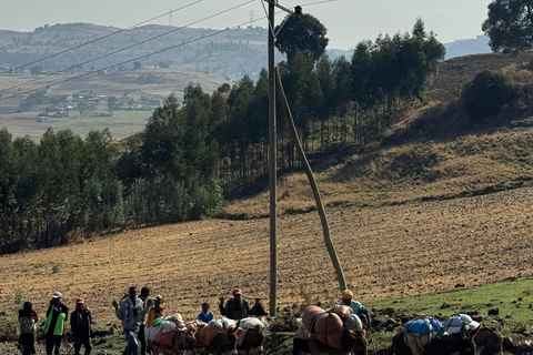 Addis Ababa FlexibleAdventure: Merkato Market & Entoto Views