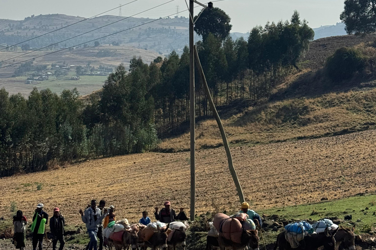 Addis Ababa FlexibleAdventure: Merkato Market & Entoto Views