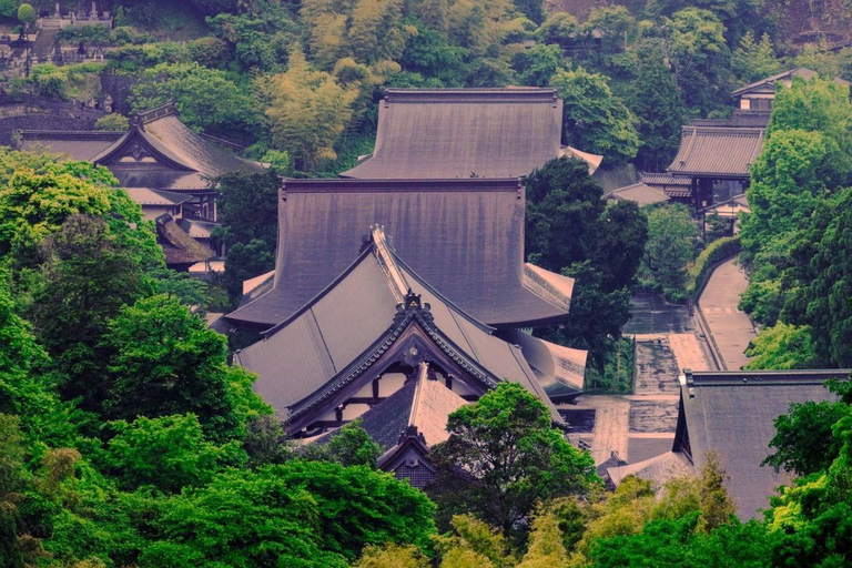 Tokyo: Kamakura Full-Day Private Tour With Best Itinerary