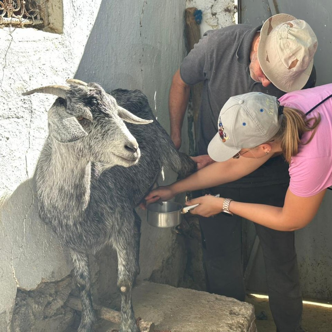 Chefchaouen : randonnée dans la vallée du Rif et atelier fromage de chèvre