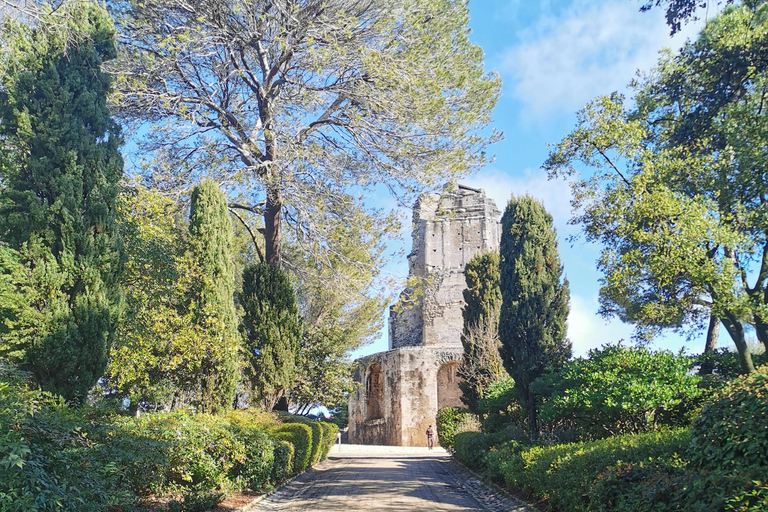 Nîmes - A day in the life of a Nemausensis