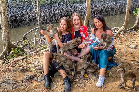 Desde Ho Chi Minh Bosque de manglares de Can Gio e Isla de los Monos