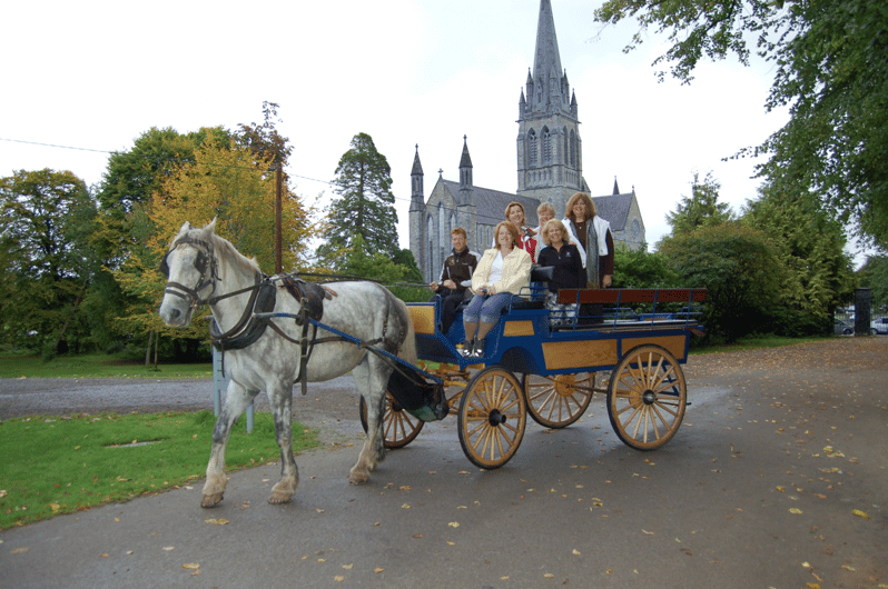 Killarney Horse & Carriage 1Hour Jaunting Car Tour GetYourGuide