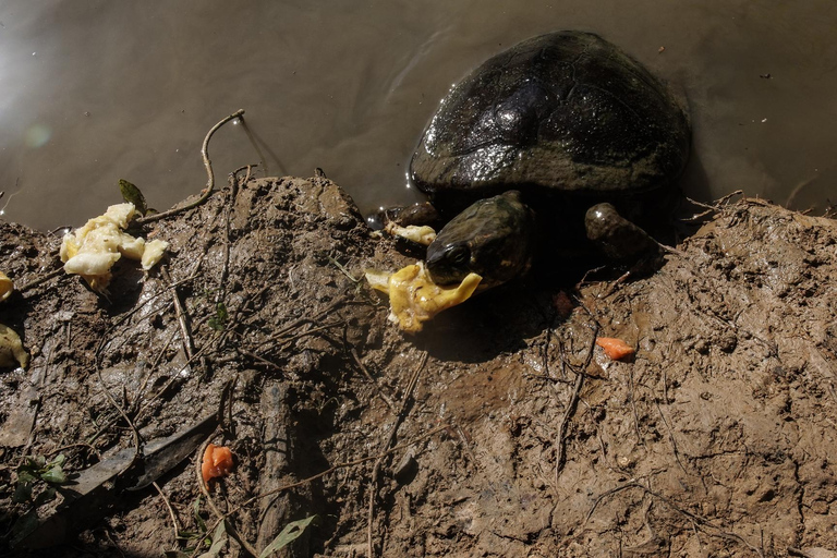 Kartagena: prywatna wycieczka z obserwacją ptaków w tropikalnym lesie suchymKartagena: Prywatna wycieczka z obserwacją ptaków w tropikalnym lesie suchym