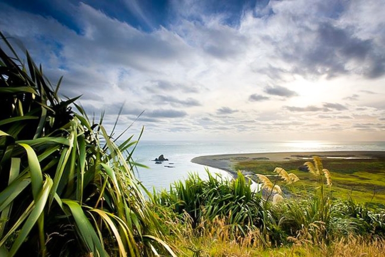 Tour de lujo a Auckland y la Costa Oeste con guía maorí