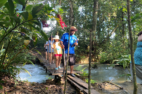 From Palenque: Lacandon Jungle 2 days, Yaxchilan, Bonampak and Trekking From Palenque: Lacandon Jungle 2 Days, Yaxchilan, Bonampak and Trekking