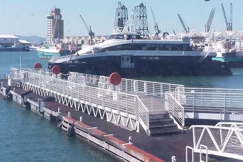 Cape Town: Robben Island Ferry and Guided Tour