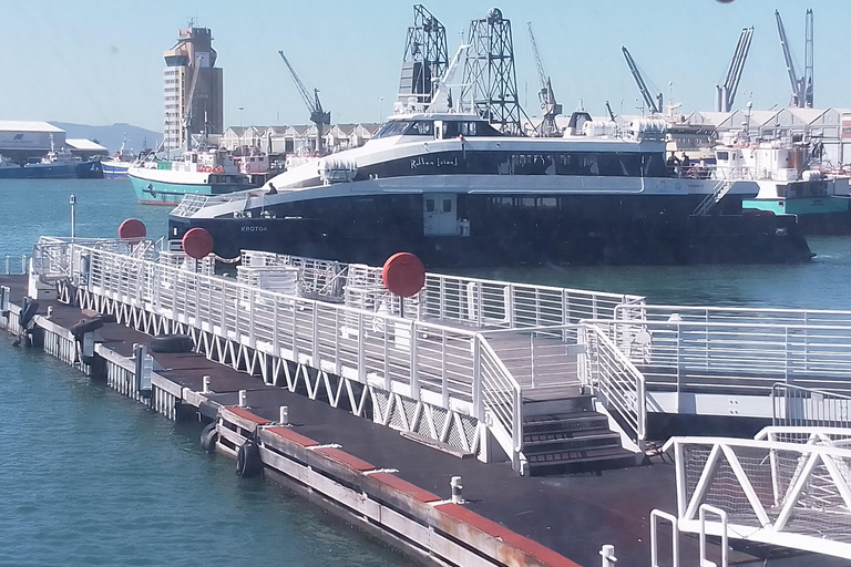 Cape Town: Robben Island Ferry and Guided Tour