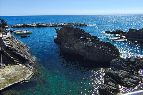 Florence to Cinque Terre e Pisa: Private Full-Day Tour