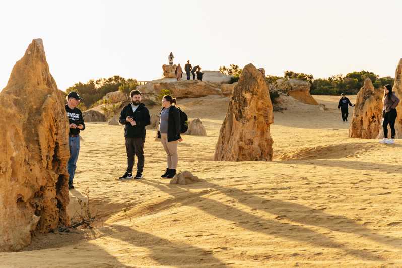 pinnacles desert tours from perth