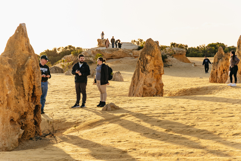 The Pinnacles: Desert Sunset and Star-Gazing Tour from PerthAb Perth: Sonnenuntergang & Sternenbeobachtung in Pinnacles