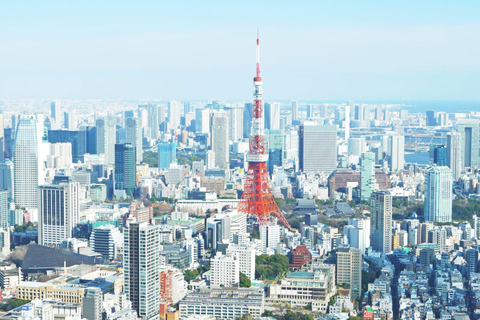Tokyo Prestige: Luxury Chauffeur Tour with Private Guide 10 Hours Customized Tokyo Tour in Luxury Alford or Vellfire