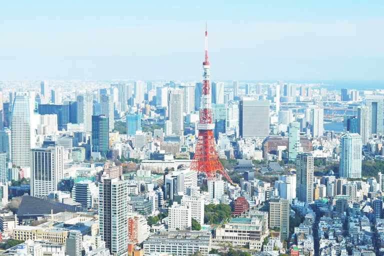 Tokyo Prestige: Luxury Chauffeur Tour with Private Guide 10 Hours Customized Tokyo Tour in Luxury Alford or Vellfire