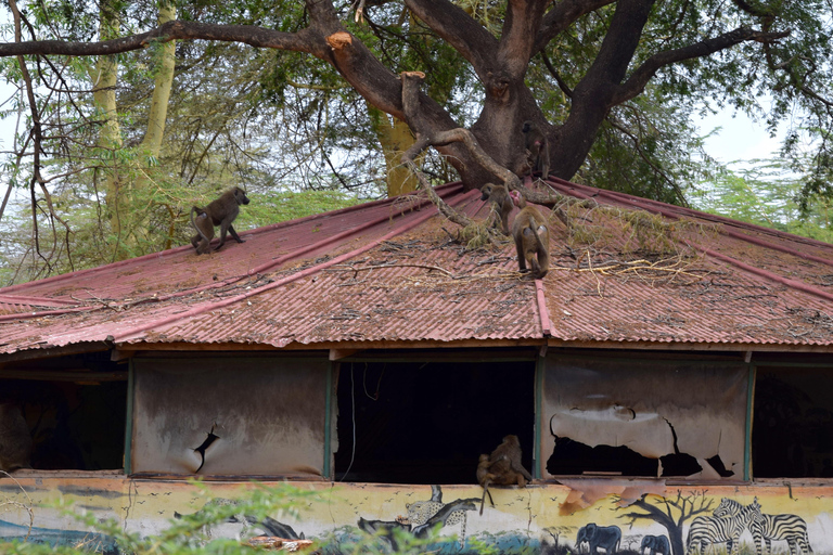 Mto wa Mbu: Waterfall, Maasai Boma, Village, & Balaa Hill Mto wa Mbu Tour & Canoe Ride on Lake Manyara