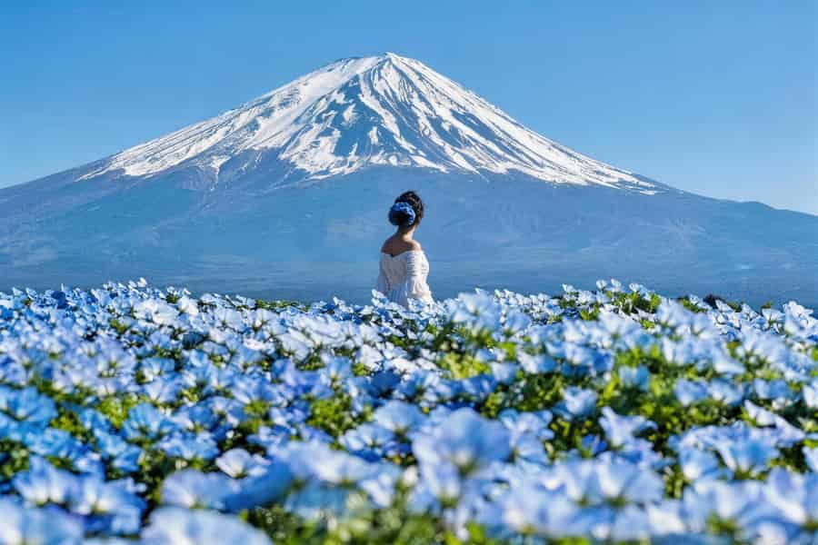 Tokio: Highlight-Tour zum Fuji, Arakurayama und Kawaguchi-See. Foto: GetYourGuide