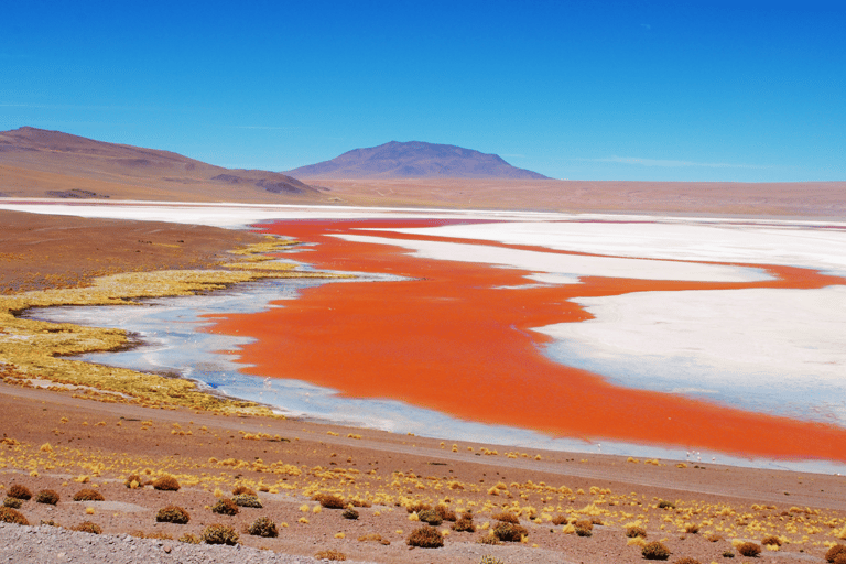 Von La Paz aus: 5-tägige Tour durch die Salinen von Uyuni mit Bustransfers