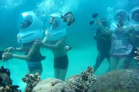 Nha Trang: Sea Walking und Coral Bay Tour mit Mittagessen