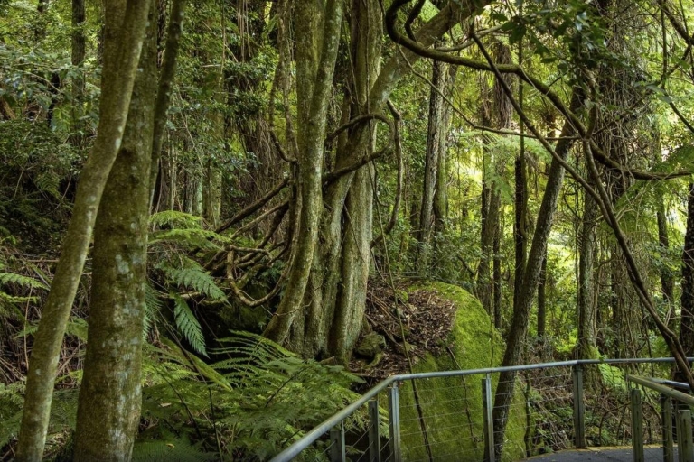 PRIVATE All Inclusive Blue Mountains & Scenic World Tour PRIVATE Blue Mountains & Scenic World Tour in a Luxury Car