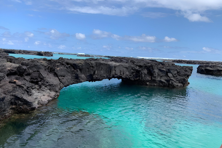 Explora Túneles Cabo Rosa en Isabela: Ganzer Tag mit Schnorcheln