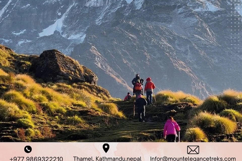 From Kathmandu: 11-Day Annapurna Base Camp Trek