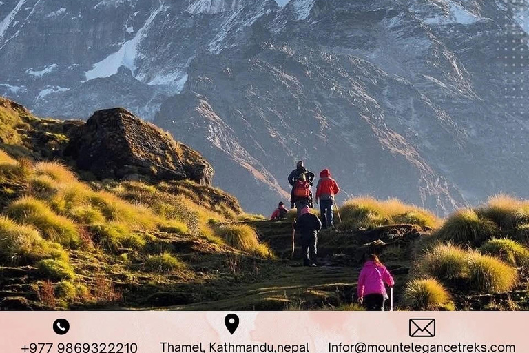 From Kathmandu: 11-Day Annapurna Base Camp Trek