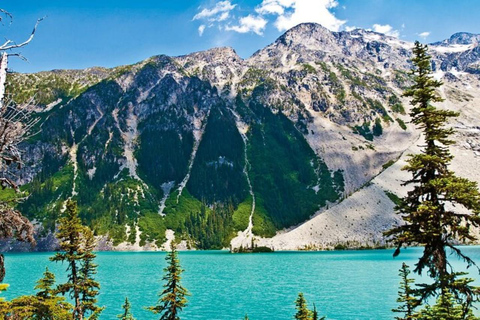 Desde Vancouver: Excursión a Whistler con las cataratas Shannon y la góndola