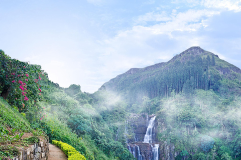 Kandy to Ella: Ramboda, Tea Factory & Nuwara Eliya Tour