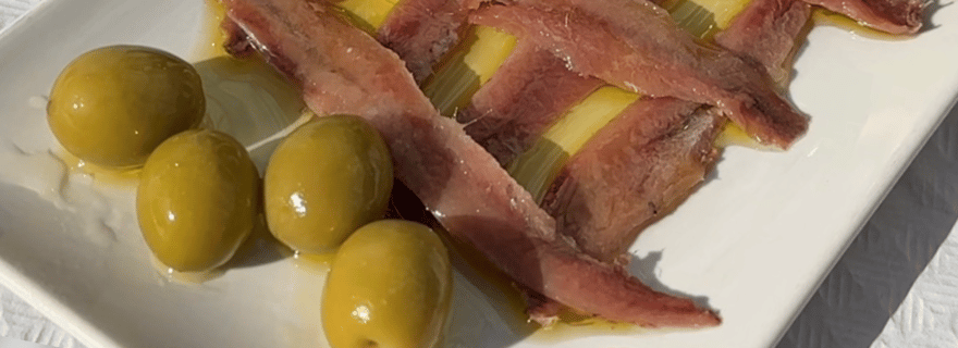 Excursion au départ de Santander : Musée de l'Anchois, Santoña et Laredo