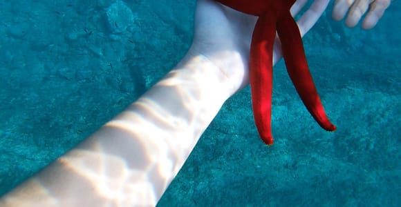 Naxos: Taormina Boat Tour with Snorkeling and Prosecco
